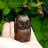 Irish Owl Dream Amulet