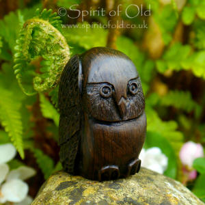 Druid Owl of the Iceni