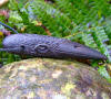 Celtic bog oak Raven pendant