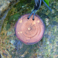 Plum pendant with a bindrune for fertility and childbirth