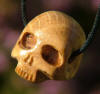 Burr Oak skull pendant