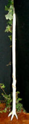 Triple-Clawed Oak wand