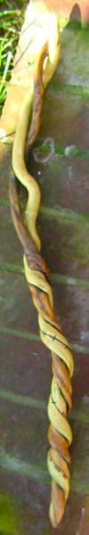 Wild Honeysuckle wand with ogham twist
