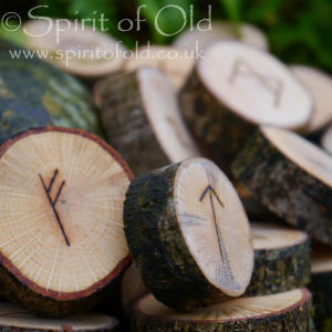 Large Woodland Oak rune set