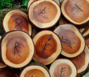 Large Ancestral Yew rune set