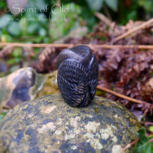 Celtic Owl amulet
