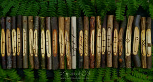 Native Celtic Woods - Set of 25 corresponding ogham staves