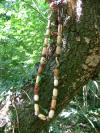 Celtic Woods Ritual Ogham beads