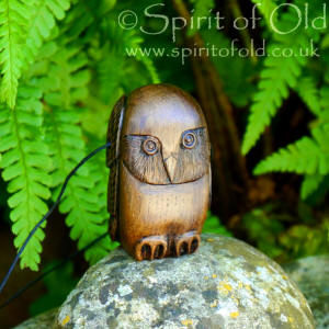 Irish bog oak Dream Owl