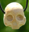 Ancestral Yew skull pendant