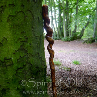 Twisted Willow Staff