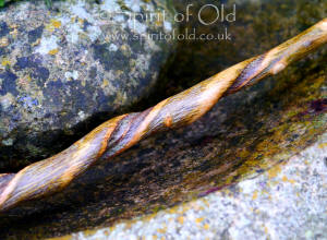 Twisted Hawthorn wand