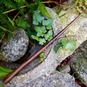 Slender Irish bog yew wand