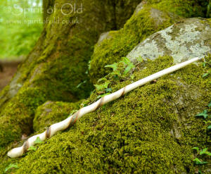 Twisted Birch wand