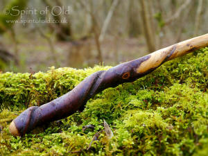 Twisted Blackthorn wand