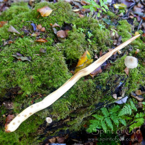 "Root of the Nine Worlds" Yew wand